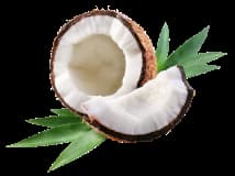 COCONUT OIL